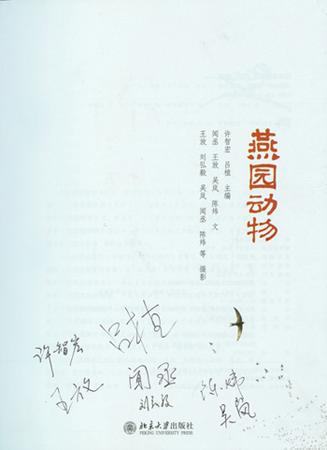 from clipboard